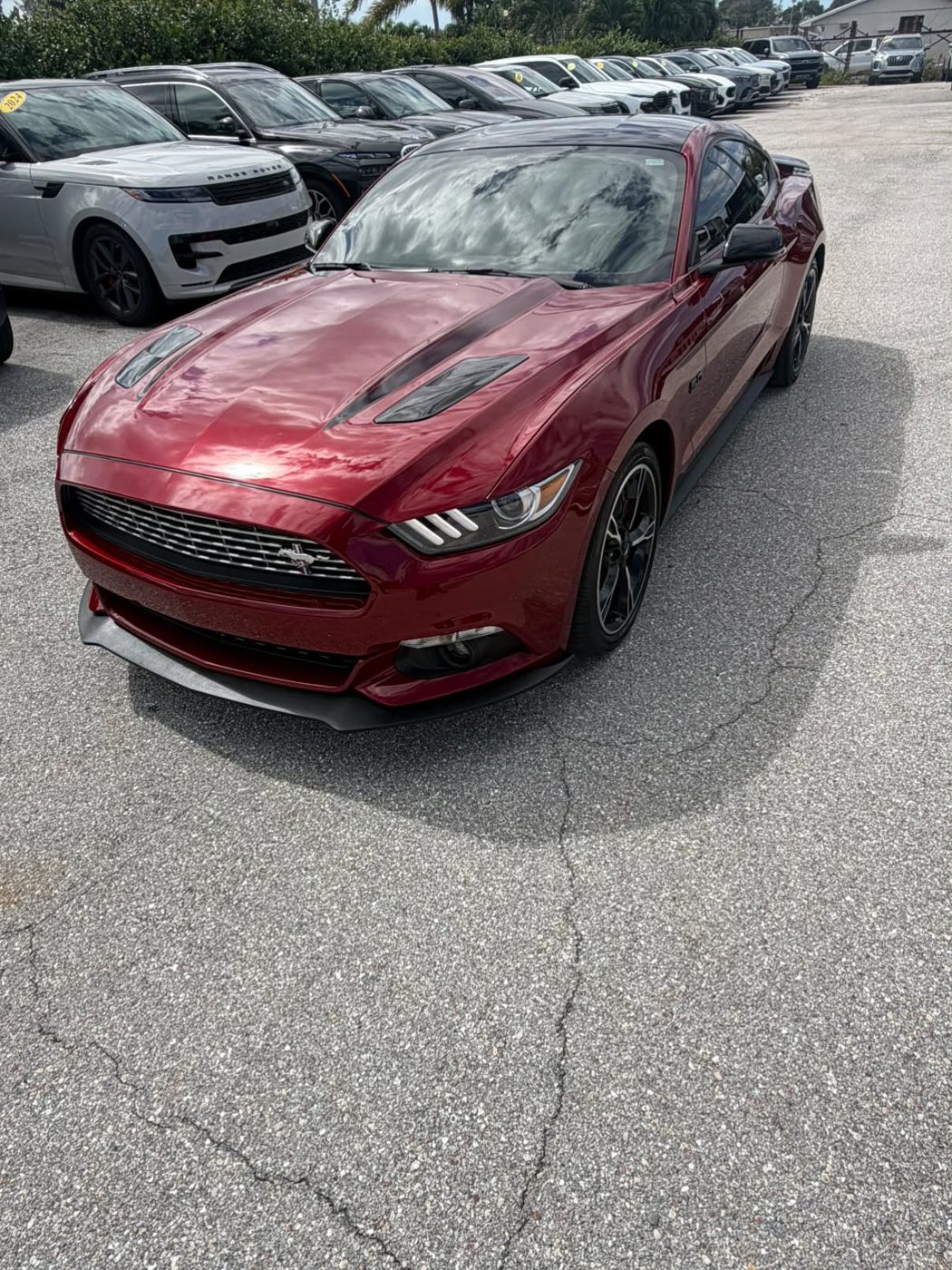 Mustang deep red gloss