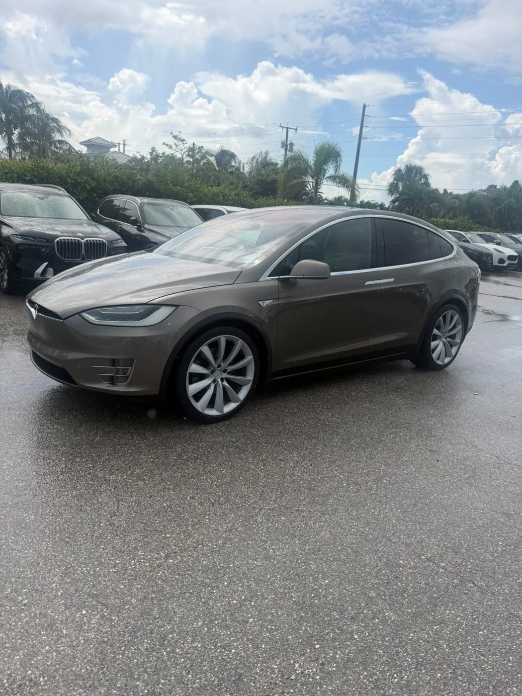 Tesla Model X exterior